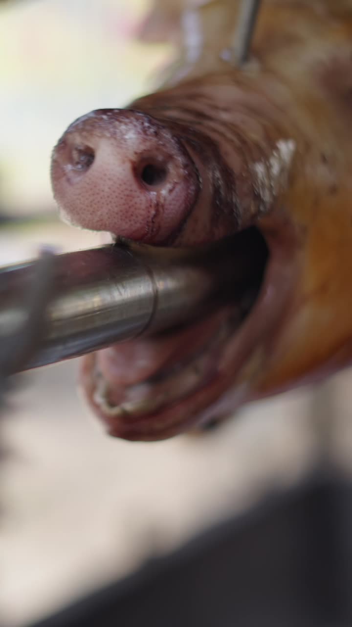 Roasted Pig