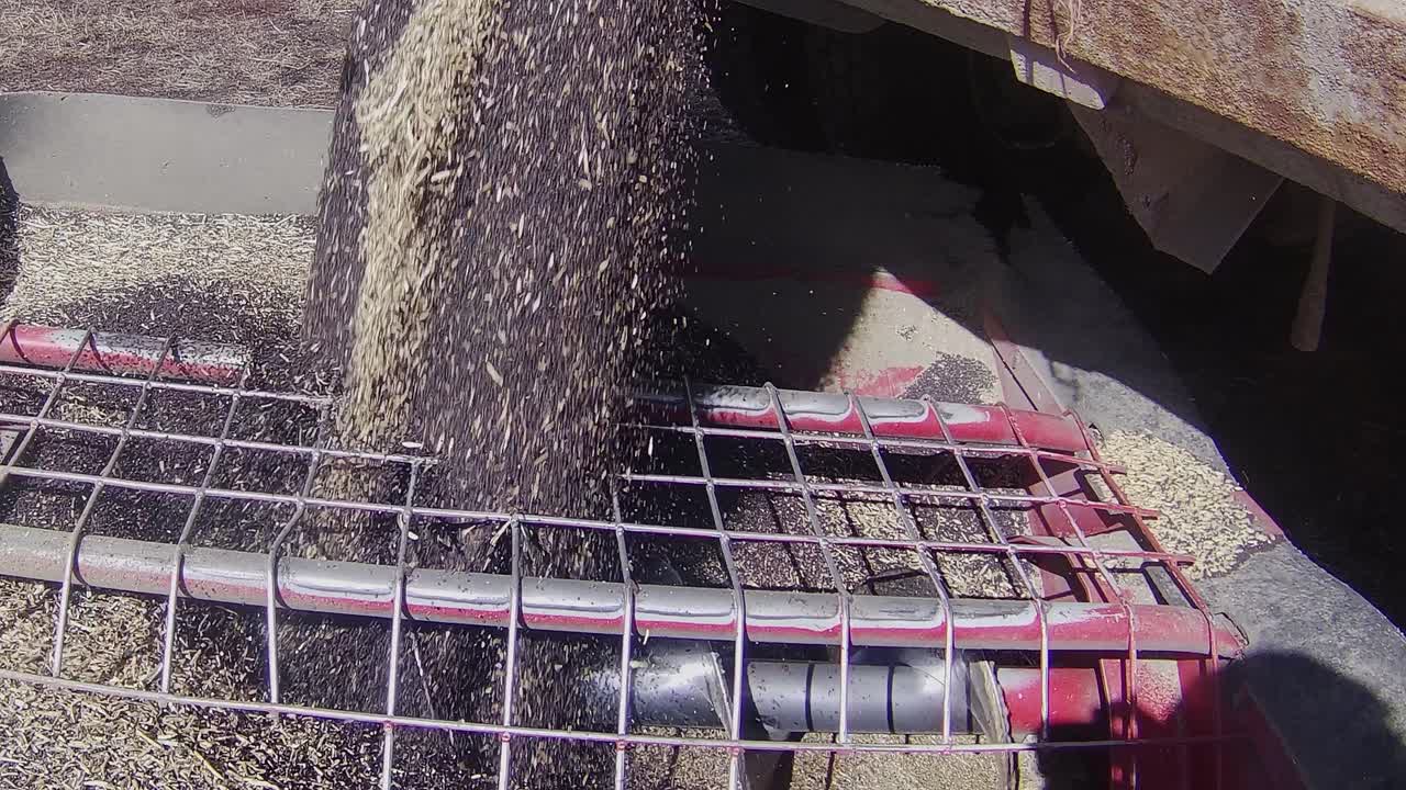 Harvesting Grain with Modern Agricultural Machinery