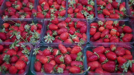 close up of fresh strawberries in containers at a market