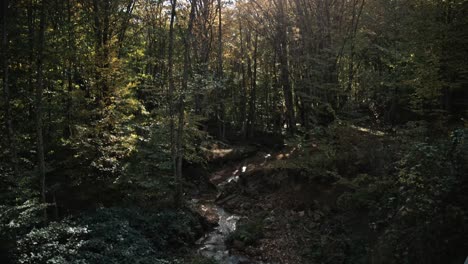 Ein-Bach,-Der-Durch-Den-Herbstwald-Fließt