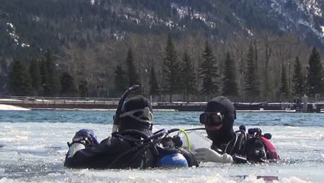 spring ice doesn’t stop hardy divers