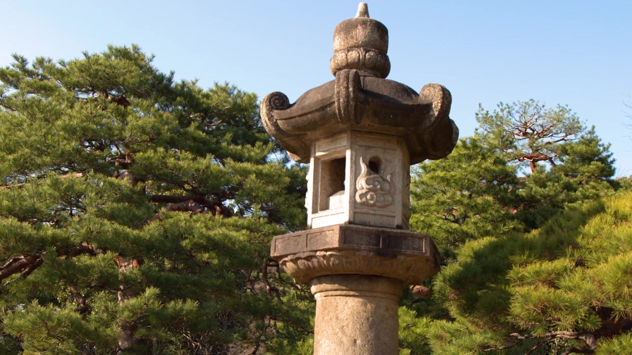 En toro-stenlanterne står foran frodige fyrretræer i Shinjuku Gyoen, Tokyo, Japan.
