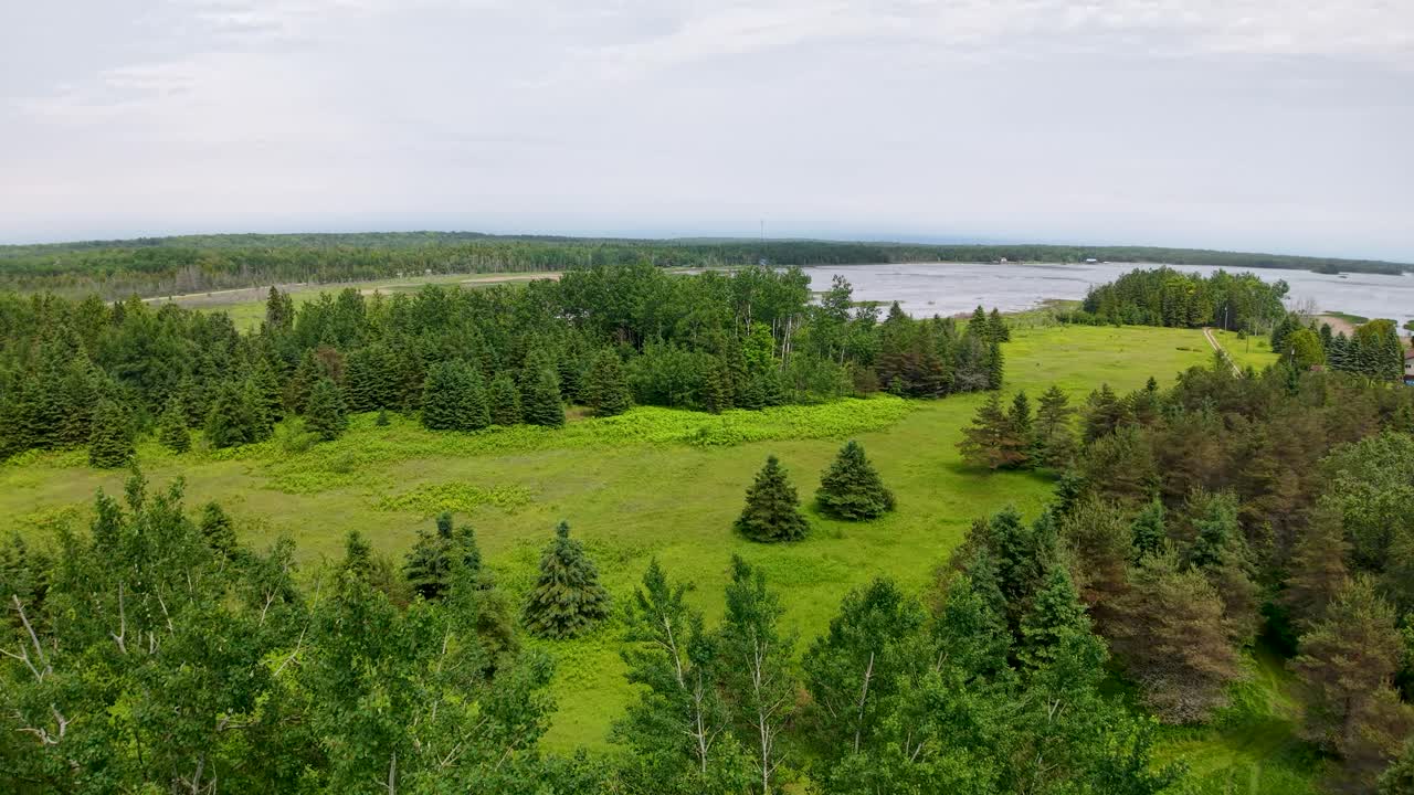 Aerial drone view of a lush green forest opening to a meadow with distant water and cloudy horizon