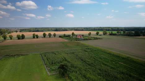 Erntezeit-Auf-Polnischen-Landwirtschaftlichen-Feldern---Luftparallaxe-Am-Frühherbsttag