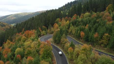 aerial following cars driving and turning on a bended road through the beautiful mixed colorful autumn forest in romania mountains