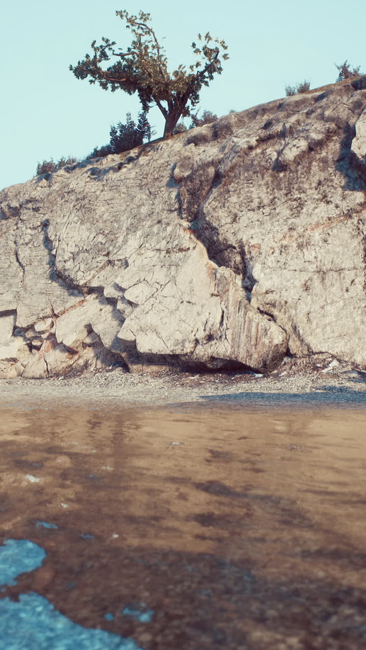 나무 가 있는 해안 절벽 풍경