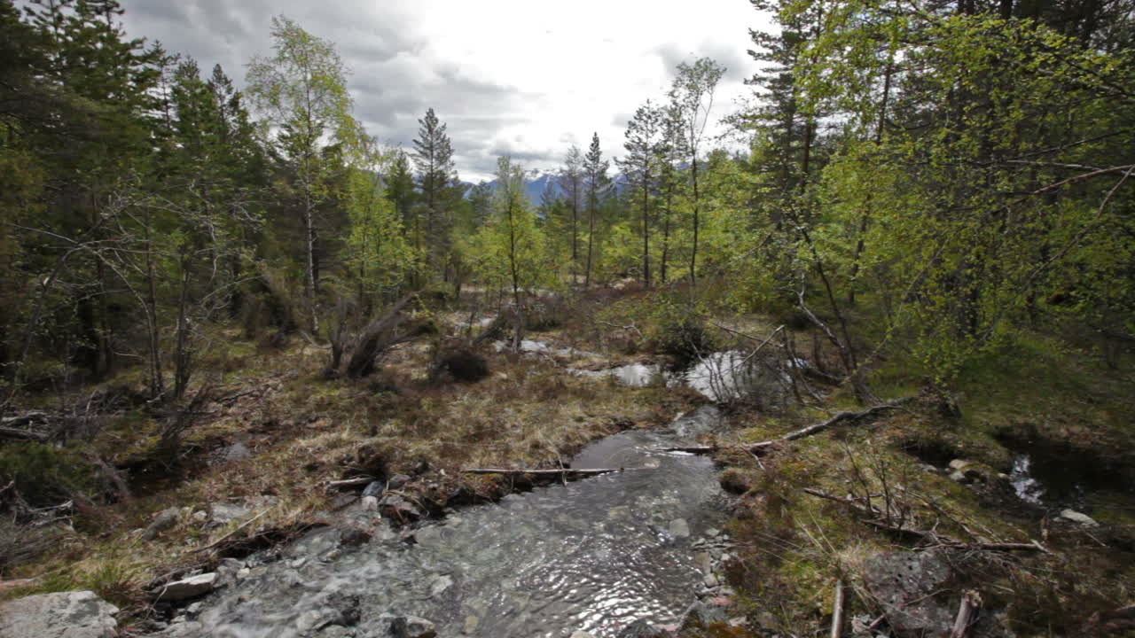corriente del glaciar