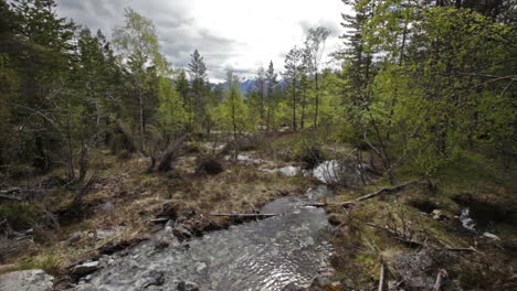 stream from the glacier