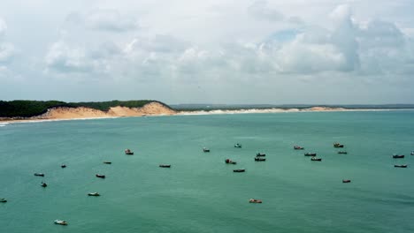 lowering aerial drone shot of a bunch of small fishing boats docked near the cacimba beach with sand dunes in the background in the famous beach town of baia formosa in rio grande do norte, brazil