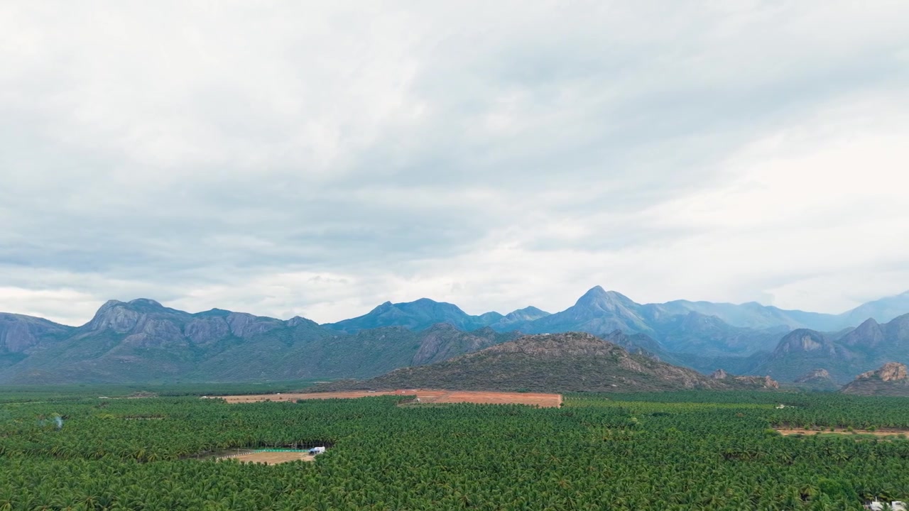 Aerial panorama of a vast coconut palm plantation stretching endlessly to a dramatic misty mountain range under cloudy skies, South India tropical countryside, cinematic wide aerial view.