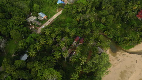 a scenic road from the middle of the palm trees parallel to the coast of koh lanta near krabi province, secluded cottage at the coast of island, thailand