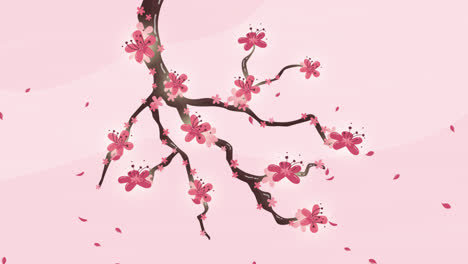 An-animation-of-Cherry-blossom-background