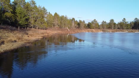 wild ducks in icy lake surrounded with forest, low angle aerial view