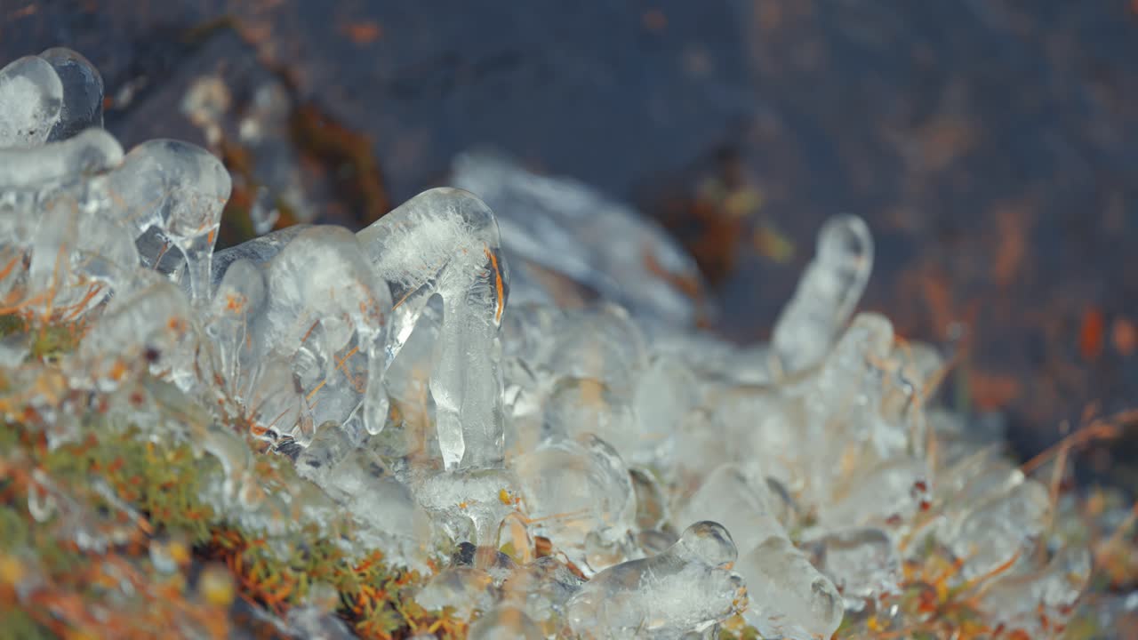 은 풀과 얼음에 얼어붙은 작은 식물들이 땅 위에 미니어처 스탈라그미트를 만들어 니다.