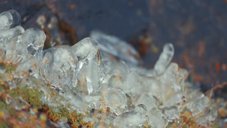 hierba marchita y plantas diminutas vidriadas por el hielo, creando estalagmitas en miniatura en el suelo