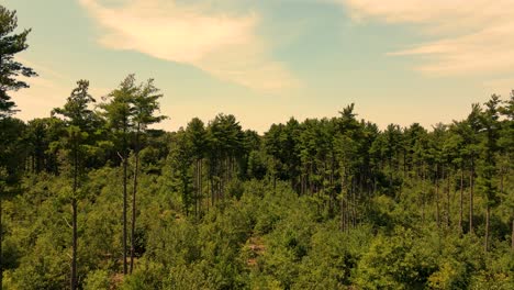 An-aerial-rise-on-a-warm-summer-day-over-Whitehall,-MI