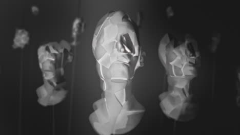 broken mannequin head shells in xray