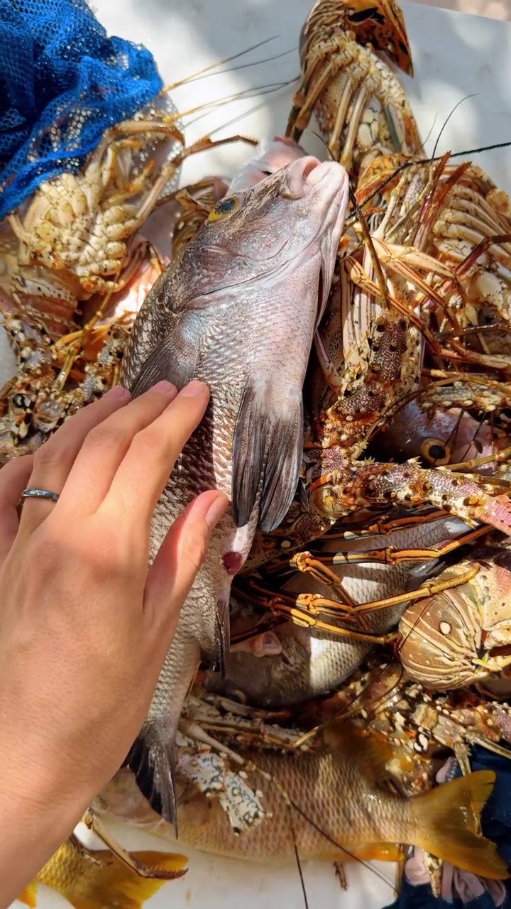 Catching fresh seafood at a market in the morning sun in coastal town. A hand touches a fish among many lobsters and shellfish on a table at a seafood market early in the day.