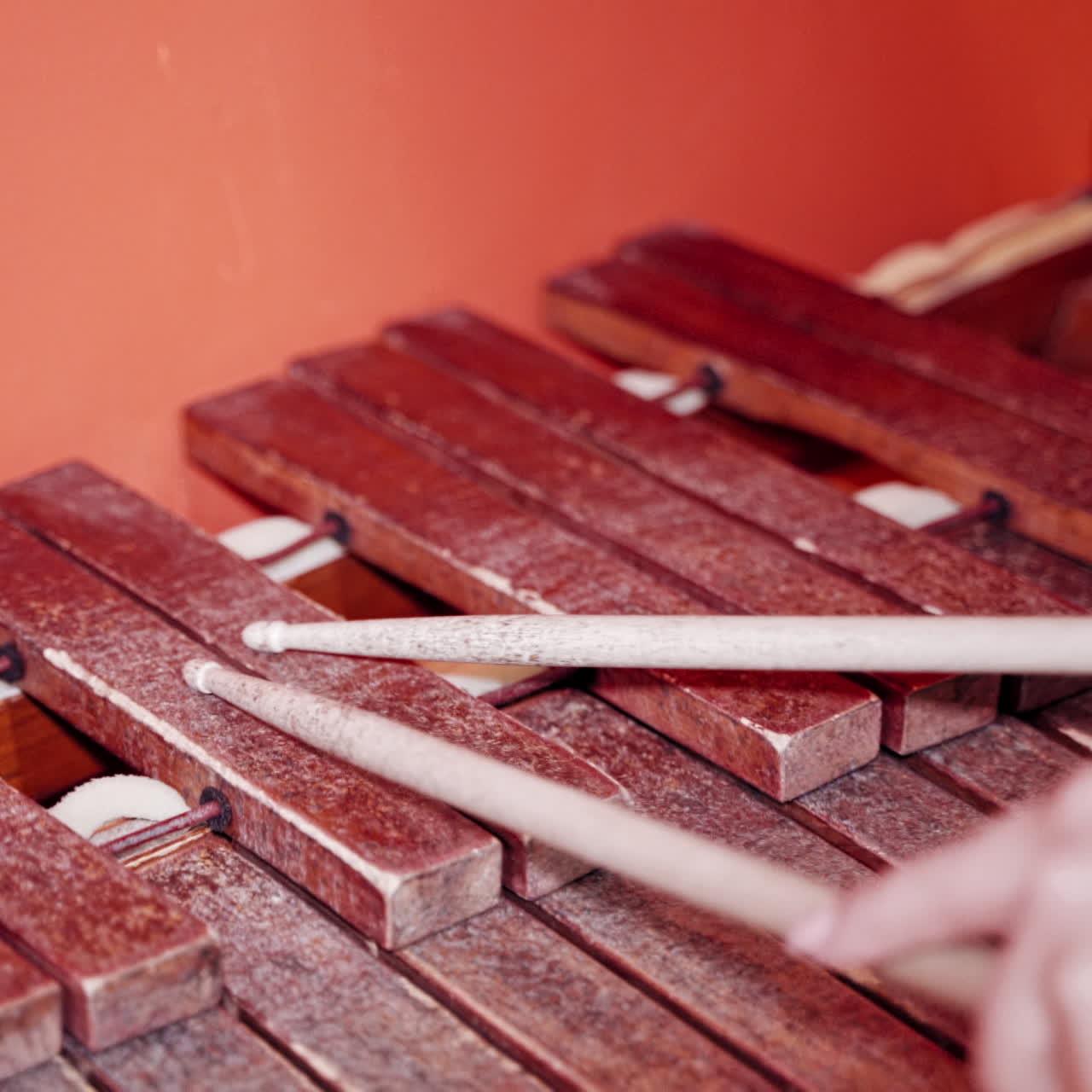 Close-up hands playing the xylophone with sticks on the red background. Old musical instrument. Wooden sticks playing on the brown keys of the xylophone.