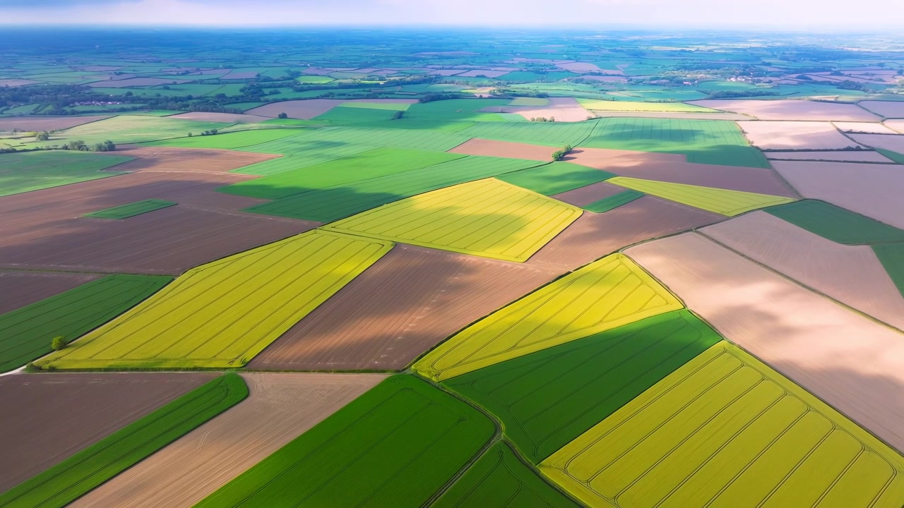 Ampia vista aerea di estesi terreni agricoli rurali divisi in appezzamenti colorati verdi, gialli e marroni, con un orizzonte piatto e campagna aperta sotto un cielo limpido e tenue