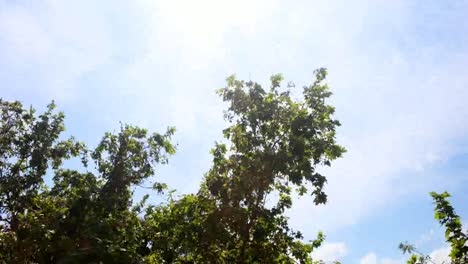 패닝 구름 05