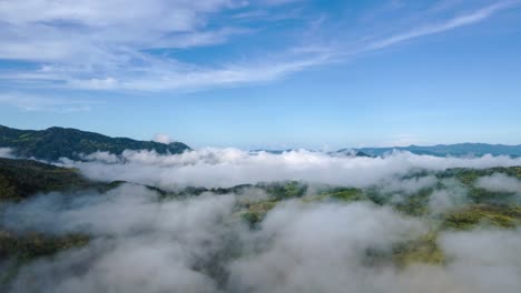 the dense tropical forests of costa rica