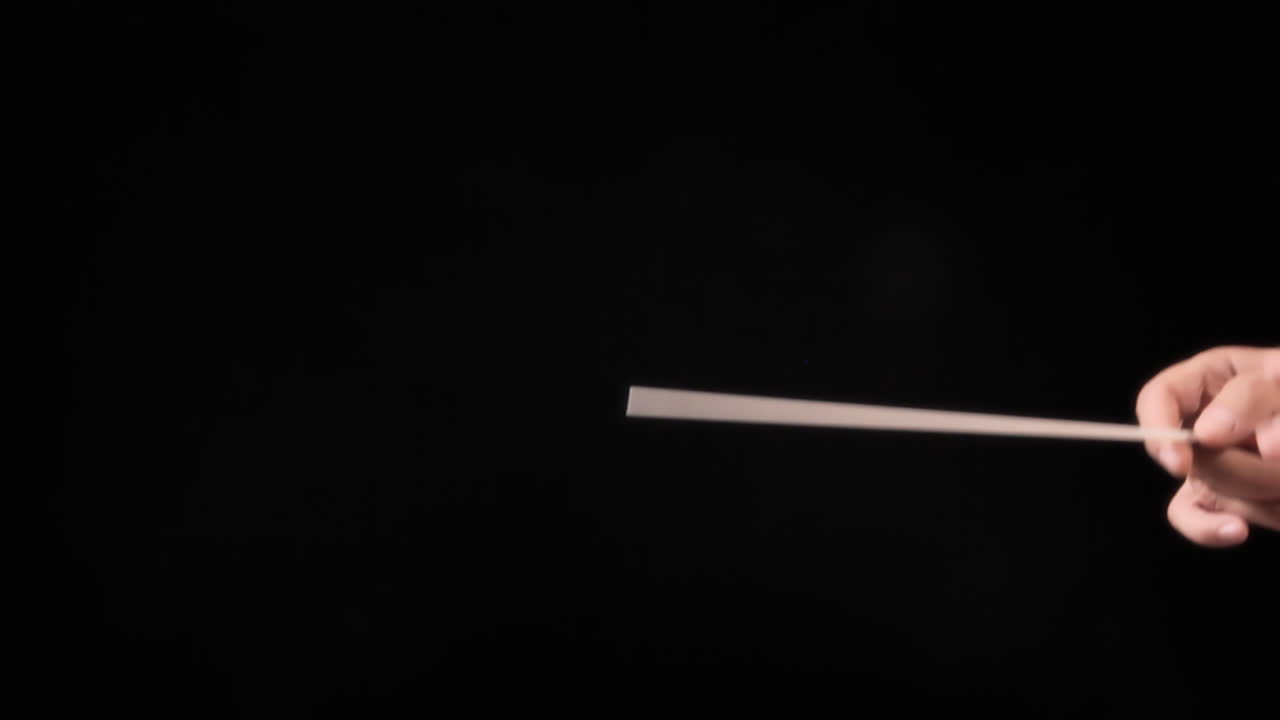 오케스트라 지휘자 는 클래식 음악 을 연주 하는 동안 음악가 들 을 동기화 하기 위해 지 ⁇ 이 를 사용 한다