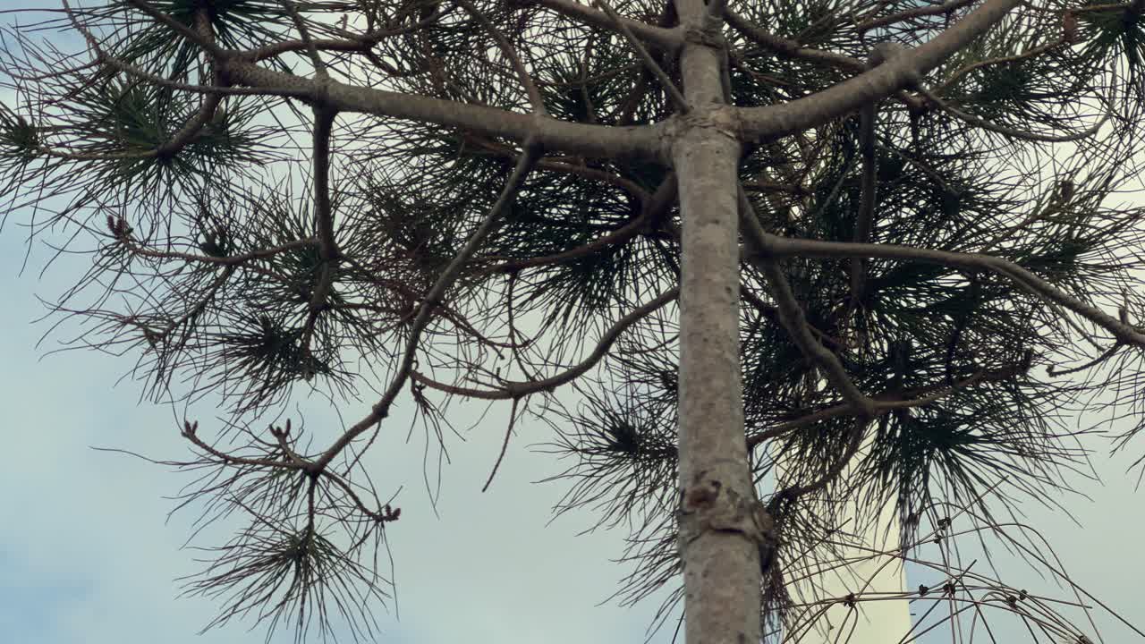 Strolling past an art installation along the Spanish coastline, highlighting artistic expression and tourism promotion