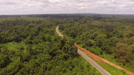 aerial drone view towards a forest road, in the jungle, on a sunny day, in nanga eboko, haute-sanaga, southern cameroon