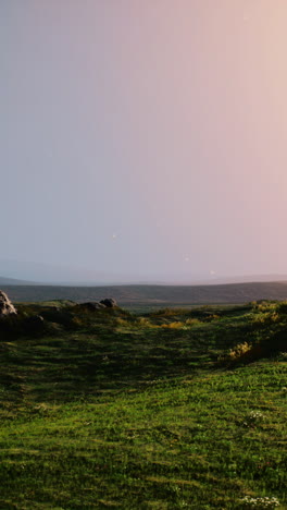 paisaje de pastizales extraños al atardecer