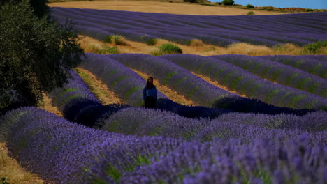woman walking in a vast lavender field