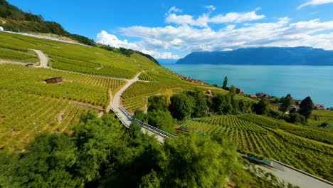 Toma-De-Fpv-Drone-De-Terrazas-De-Viñedos-De-Lavaux-Cerca-Del-Pueblo-De-Epesses-En-Vaud,-Suiza