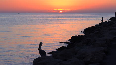 a fisherman and a pelican stand in silhouette at sunset along an ocean coastline