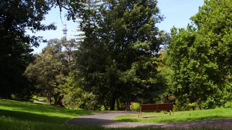 a general handheld shot of a bench in a park with the sky tower in the background on a clear and windy day in the city of auckland, new zealand