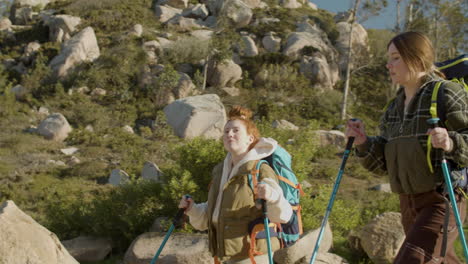 two young female backpackers hiking with trekking poles in the forest on a sunny day