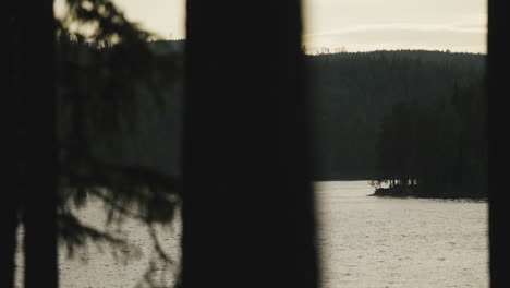 lake surrounded by wild forest seen through tree trunks, reflecting sunlight, in slow motion