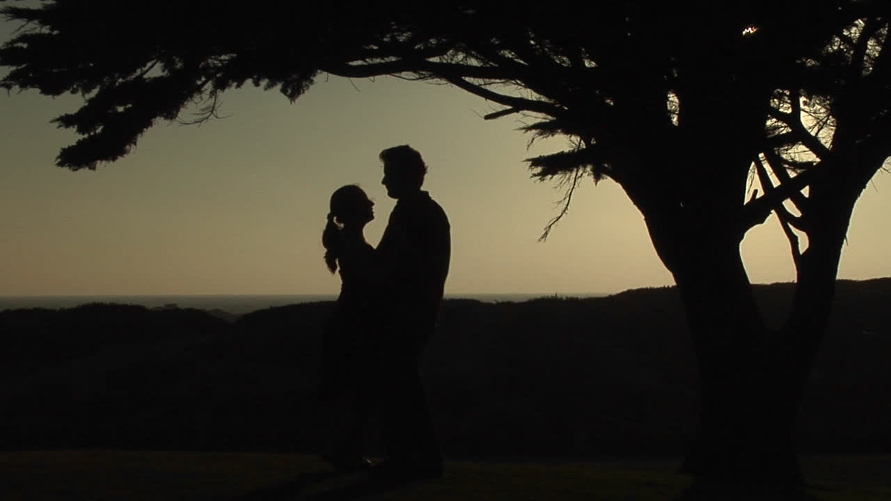 나무 아래서 천천히 춤을 추는 커플