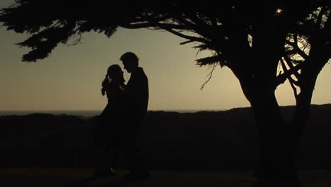 A-couple-slow-dances-under-a-tree