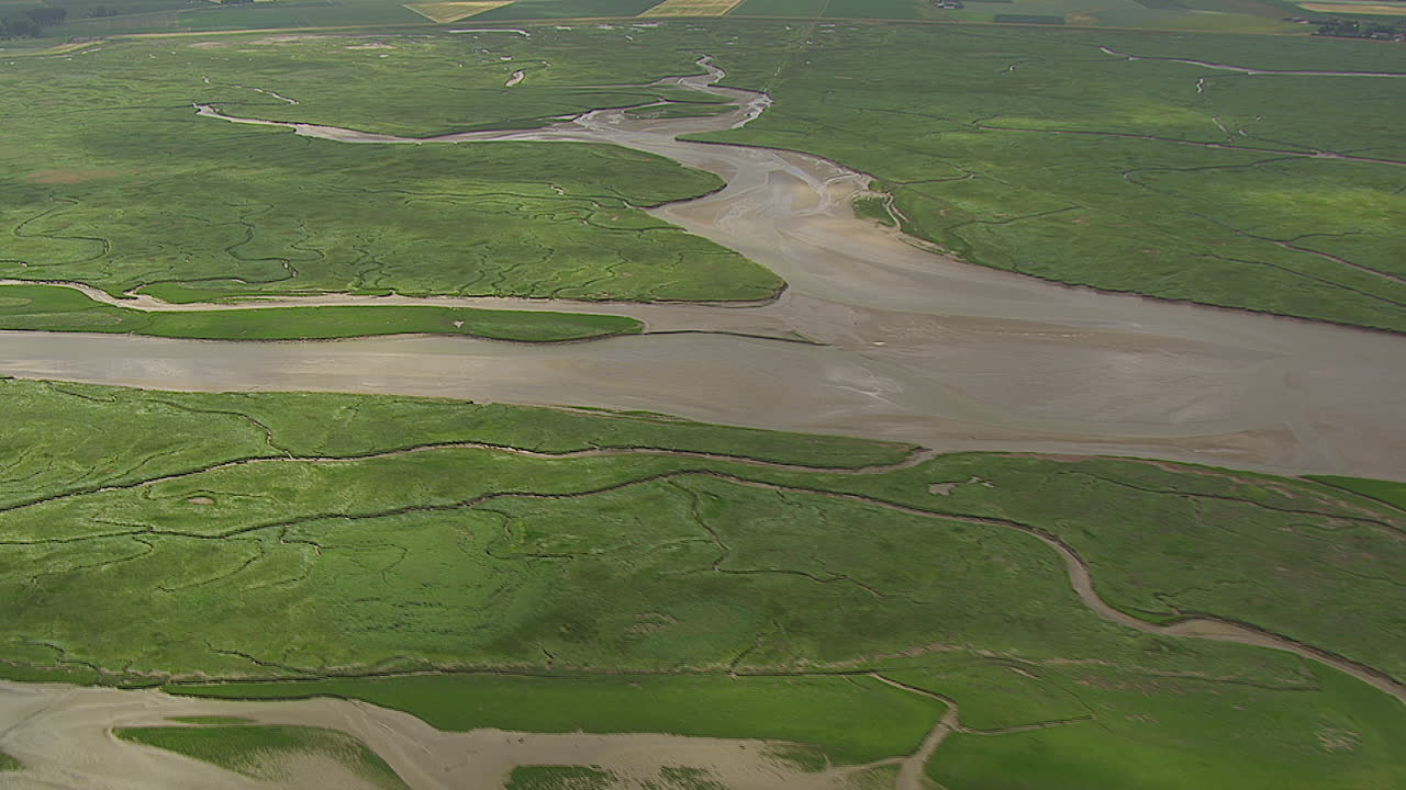 wide angle shot of green landscape in a tidal flood area during daytime shot with gyrostabilised system