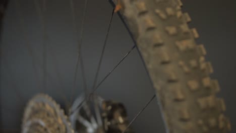 cerca de un neumático de bicicleta