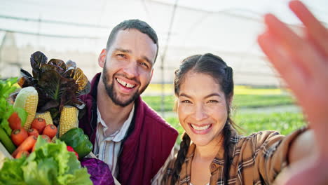 happy farmers with fresh vegetables in greenhouse