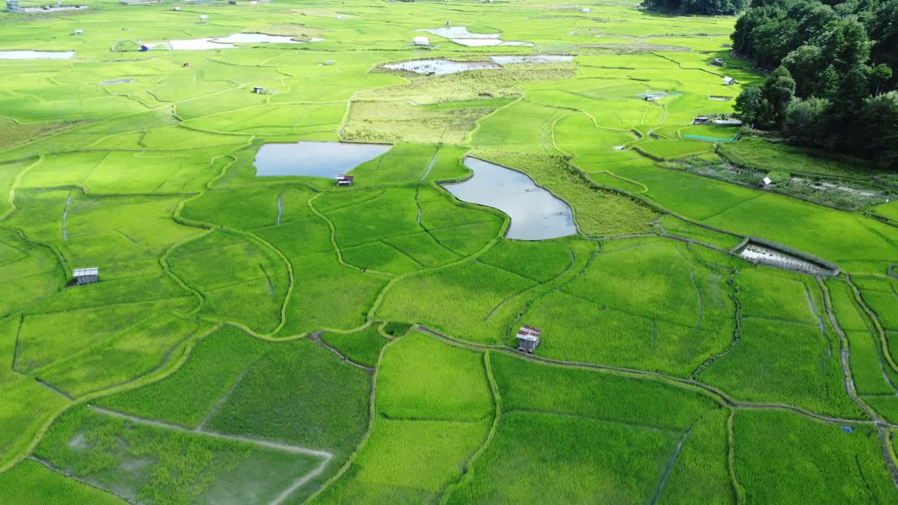vista aérea de un campo de arroz en arunachal pradesh