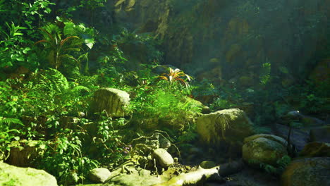 lush jungle with vibrant plants and sunlight streaming through