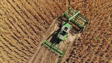 combine harvester in a wheat field