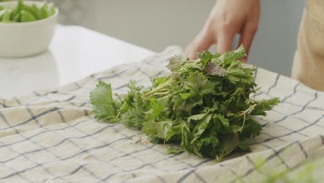 mujer de la cosecha con perejil fresco en la mesa