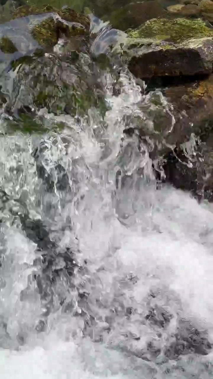 Piccola cascata che scende su rocce muschiose in natura