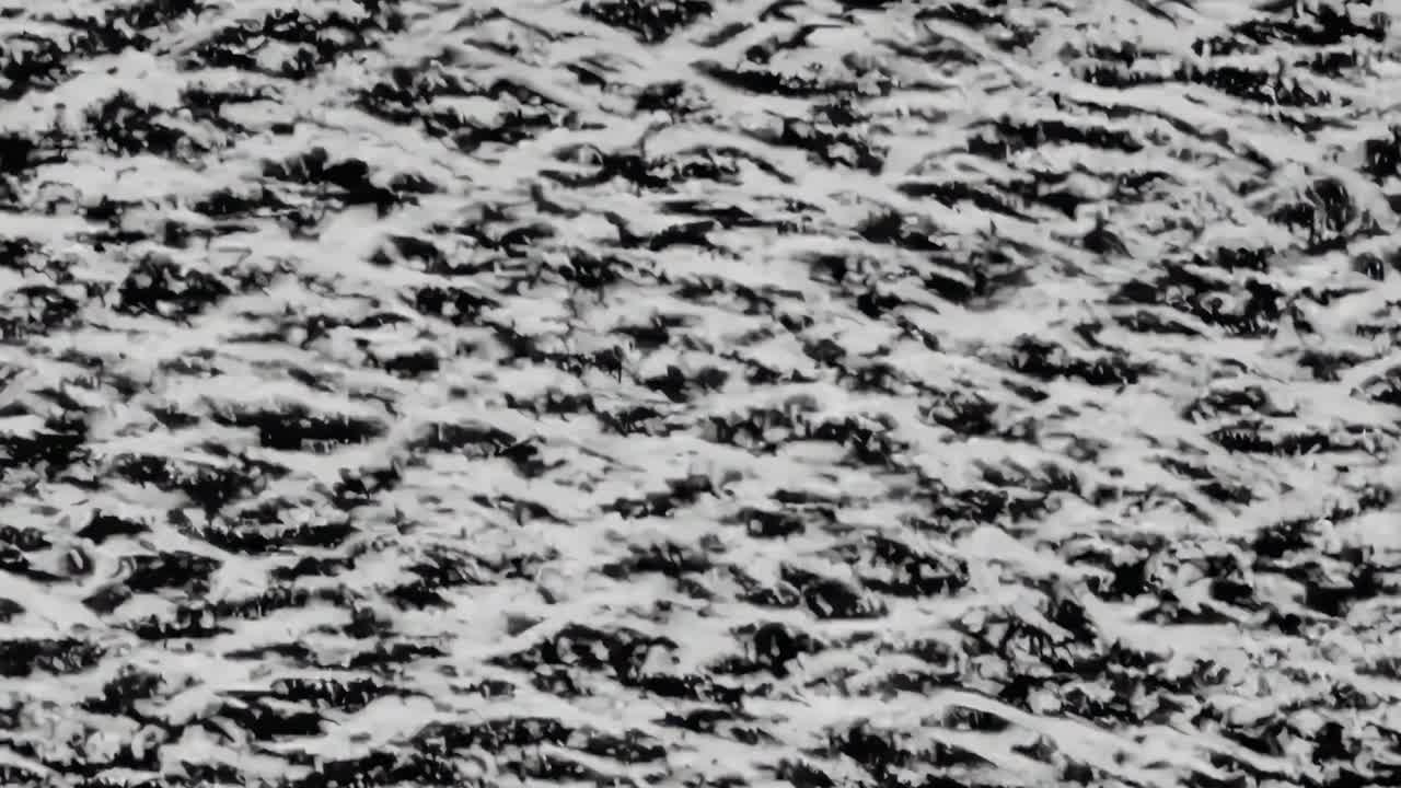 Abstract video glitch art with horizontal black and white lines