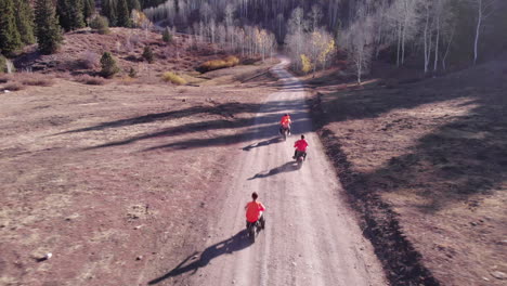 3 tote gotes riding on a mountain road