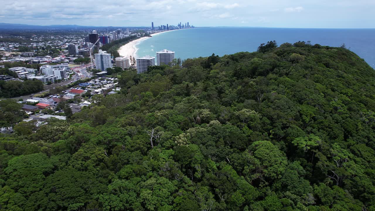 Sademetsä Burleigh Headin kansallispuistossa – rantahotellit Gold Coastilla, QLD, Australiassa. – Ilmakuva.