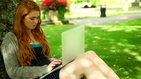 cute redhead working with her notebook sitting on lawn